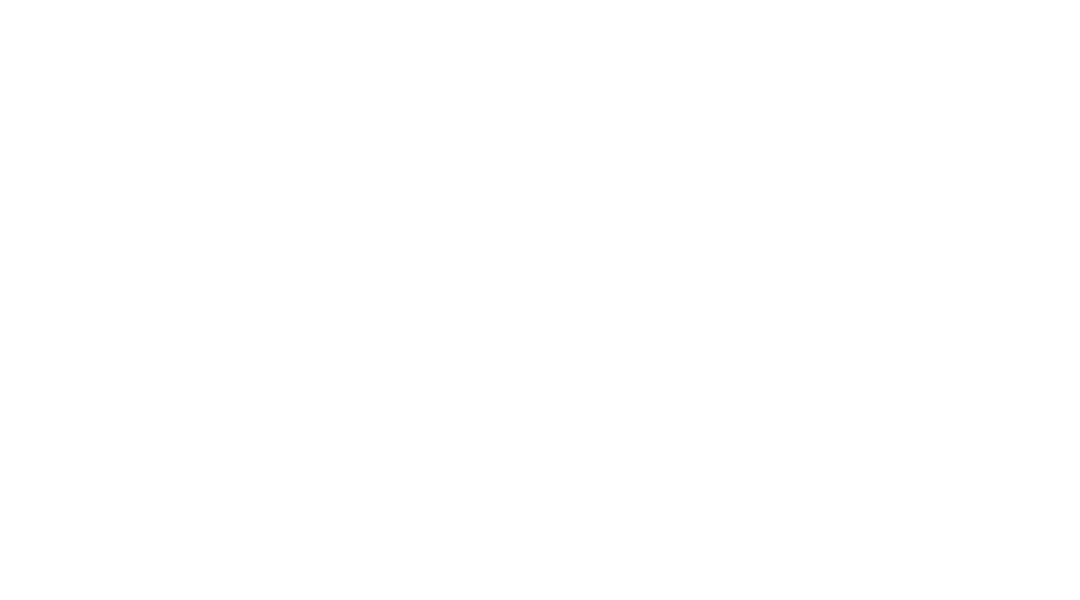 APLogoWhite
